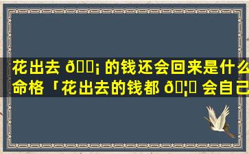 花出去 🐡 的钱还会回来是什么命格「花出去的钱都 🦋 会自己流回来pdf」